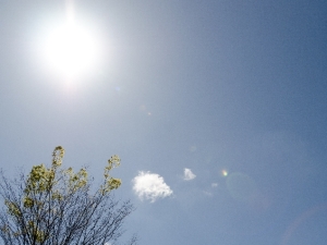 2d042995fb27fd6e19d9328319158b92_s