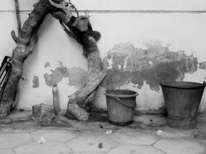 8f0702cb6eba18a894309dfec4921a3f_s