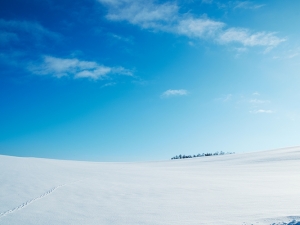 OHT95_setugentoashiato500